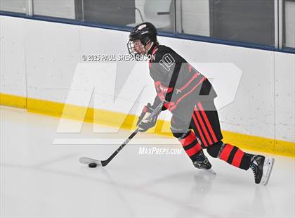 Thumbnail 1 in Castle View @ Mountain Vista photogallery.