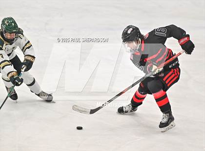 Thumbnail 3 in Castle View @ Mountain Vista photogallery.