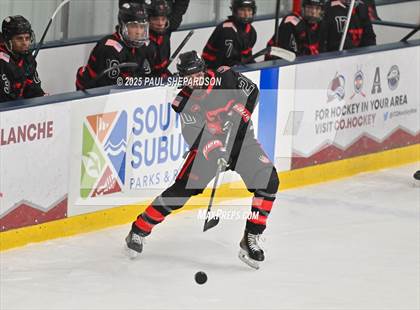 Thumbnail 3 in Castle View @ Mountain Vista photogallery.