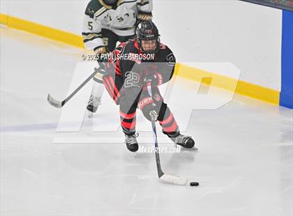 Thumbnail 2 in Castle View @ Mountain Vista photogallery.