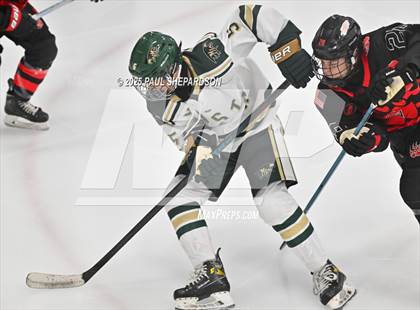 Thumbnail 2 in Castle View @ Mountain Vista photogallery.