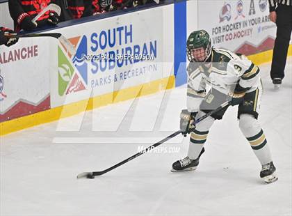 Thumbnail 1 in Castle View @ Mountain Vista photogallery.