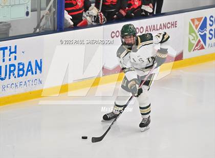 Thumbnail 2 in Castle View @ Mountain Vista photogallery.