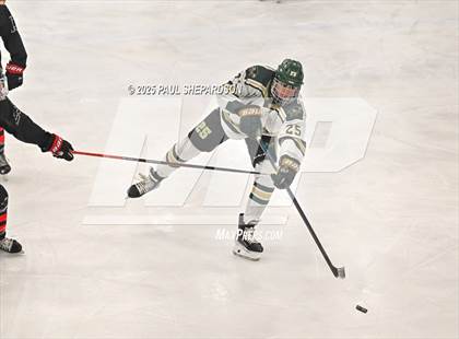 Thumbnail 3 in Castle View @ Mountain Vista photogallery.