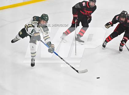 Thumbnail 2 in Castle View @ Mountain Vista photogallery.