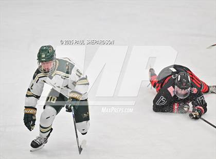 Thumbnail 2 in Castle View @ Mountain Vista photogallery.