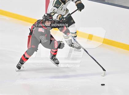 Thumbnail 3 in Castle View @ Mountain Vista photogallery.