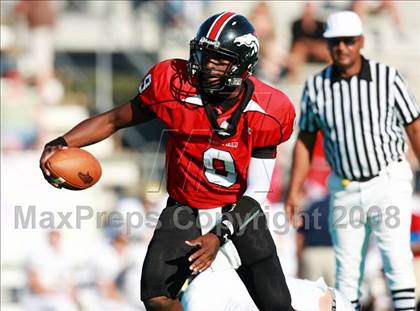 Thumbnail 3 in Klein Collins @ Westfield photogallery.