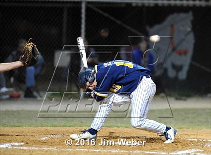 Thumbnail 1 in Land O' Lakes @ Zephyrhills photogallery.