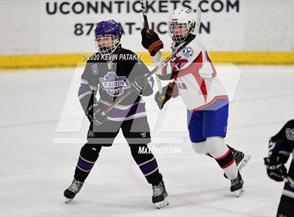 Thumbnail 2 in North Branford @ E.O. Smith/Tolland photogallery.