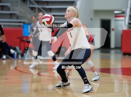 Thumbnail 1 in Grapevine @ Marcus (Marauder Showcase) photogallery.