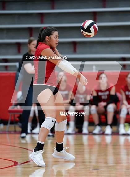 Thumbnail 3 in Grapevine @ Marcus (Marauder Showcase) photogallery.