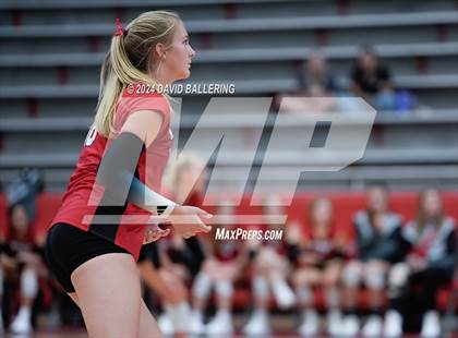 Thumbnail 2 in Grapevine @ Marcus (Marauder Showcase) photogallery.