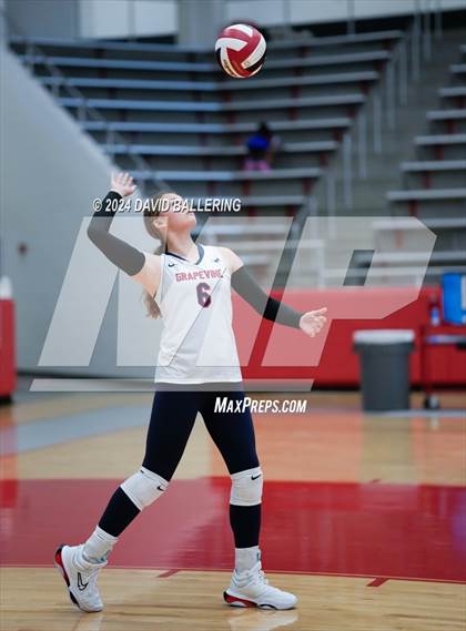 Thumbnail 1 in Grapevine @ Marcus (Marauder Showcase) photogallery.