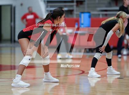 Thumbnail 1 in Grapevine @ Marcus (Marauder Showcase) photogallery.