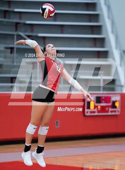 Thumbnail 3 in Grapevine @ Marcus (Marauder Showcase) photogallery.
