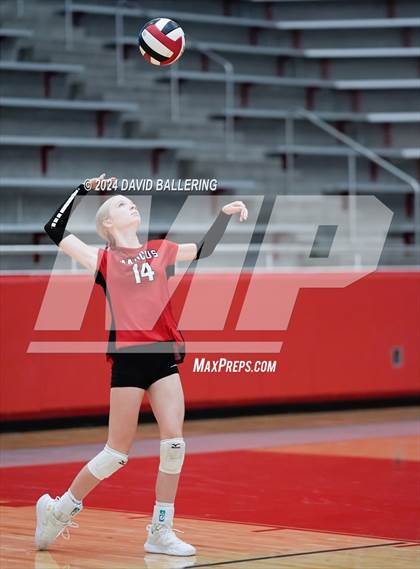 Thumbnail 2 in Grapevine @ Marcus (Marauder Showcase) photogallery.