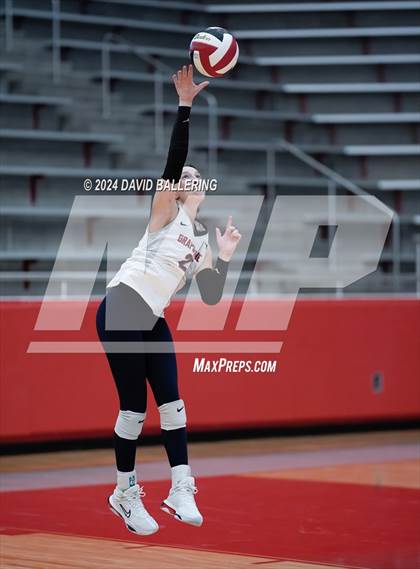Thumbnail 2 in Grapevine @ Marcus (Marauder Showcase) photogallery.