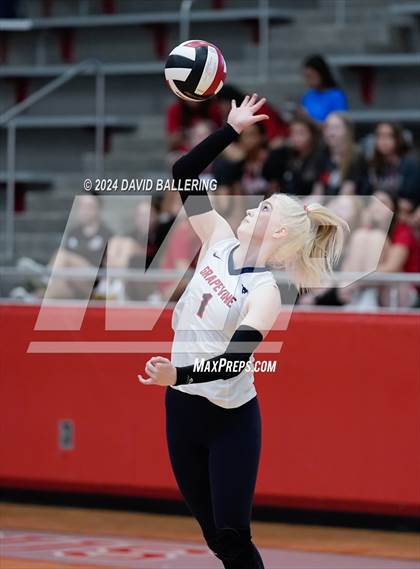 Thumbnail 3 in Grapevine @ Marcus (Marauder Showcase) photogallery.