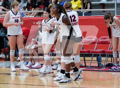 Thumbnail 2 in Grapevine @ Marcus (Marauder Showcase) photogallery.