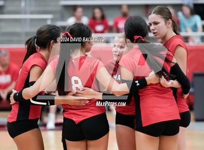 Thumbnail 3 in Grapevine @ Marcus (Marauder Showcase) photogallery.