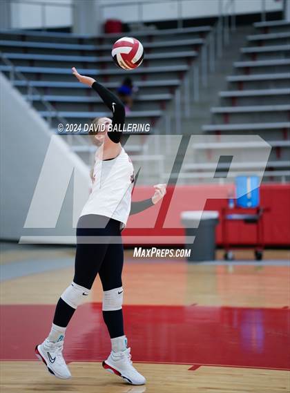 Thumbnail 3 in Grapevine @ Marcus (Marauder Showcase) photogallery.