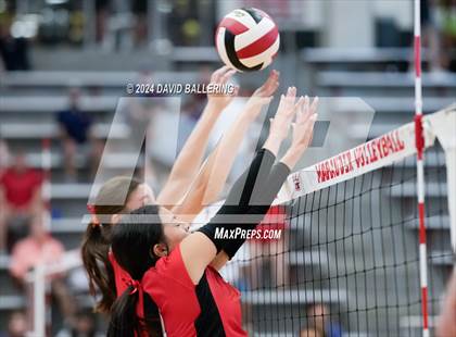 Thumbnail 2 in Grapevine @ Marcus (Marauder Showcase) photogallery.