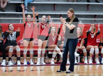 Thumbnail 2 in Grapevine @ Marcus (Marauder Showcase) photogallery.