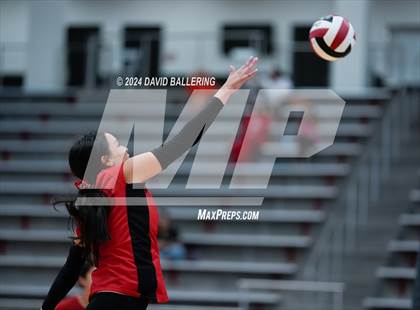 Thumbnail 2 in Grapevine @ Marcus (Marauder Showcase) photogallery.