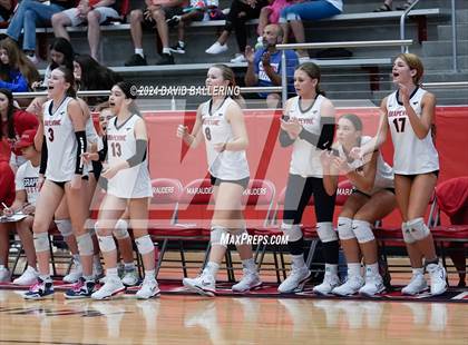 Thumbnail 2 in Grapevine @ Marcus (Marauder Showcase) photogallery.