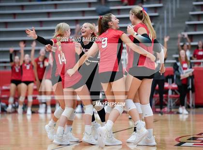 Thumbnail 1 in Grapevine @ Marcus (Marauder Showcase) photogallery.