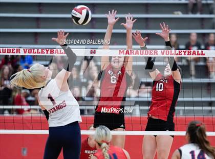 Thumbnail 1 in Grapevine @ Marcus (Marauder Showcase) photogallery.