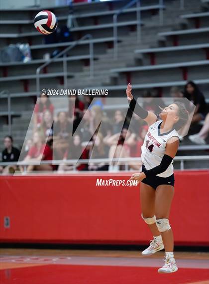 Thumbnail 1 in Grapevine @ Marcus (Marauder Showcase) photogallery.