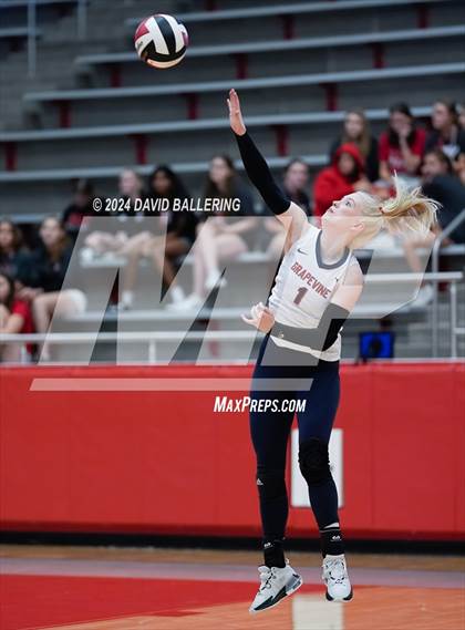 Thumbnail 3 in Grapevine @ Marcus (Marauder Showcase) photogallery.