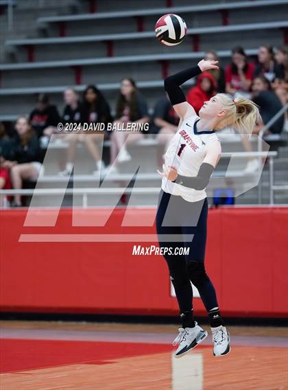 Thumbnail 1 in Grapevine @ Marcus (Marauder Showcase) photogallery.