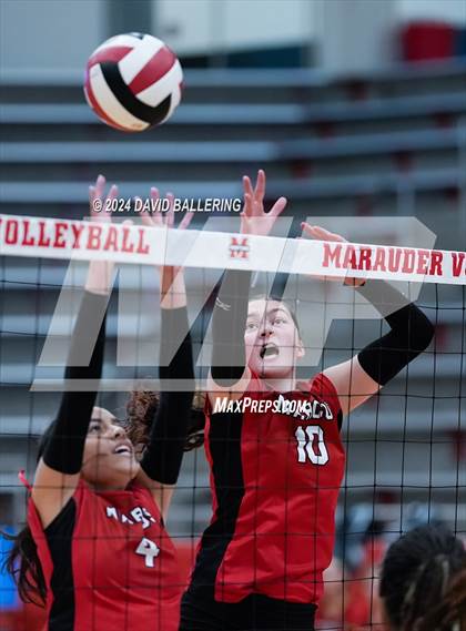 Thumbnail 1 in Grapevine @ Marcus (Marauder Showcase) photogallery.