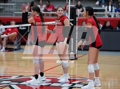Thumbnail 3 in Grapevine @ Marcus (Marauder Showcase) photogallery.