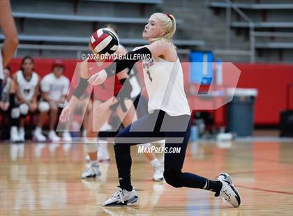 Thumbnail 1 in Grapevine @ Marcus (Marauder Showcase) photogallery.