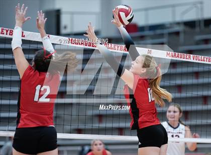 Thumbnail 1 in Grapevine @ Marcus (Marauder Showcase) photogallery.
