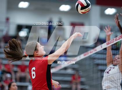 Thumbnail 1 in Grapevine @ Marcus (Marauder Showcase) photogallery.