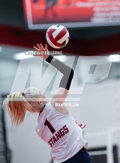 Thumbnail 1 in Grapevine @ Marcus (Marauder Showcase) photogallery.