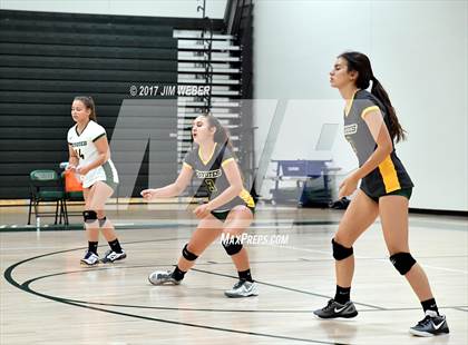 Thumbnail 1 in Tampa Catholic @ Cypress Creek photogallery.