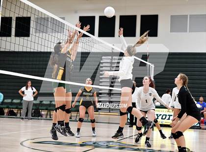 Thumbnail 1 in Tampa Catholic @ Cypress Creek photogallery.