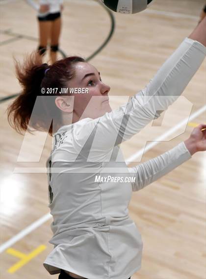 Thumbnail 2 in Tampa Catholic @ Cypress Creek photogallery.