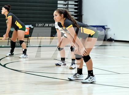 Thumbnail 1 in Tampa Catholic @ Cypress Creek photogallery.