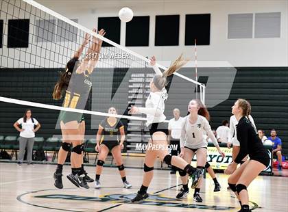 Thumbnail 2 in Tampa Catholic @ Cypress Creek photogallery.