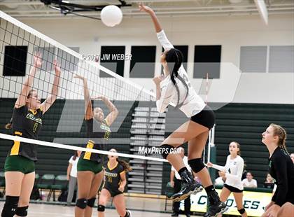 Thumbnail 2 in Tampa Catholic @ Cypress Creek photogallery.