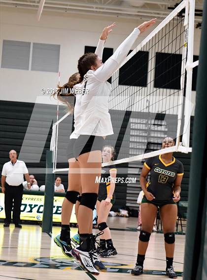 Thumbnail 2 in Tampa Catholic @ Cypress Creek photogallery.