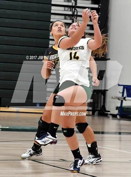 Thumbnail 1 in Tampa Catholic @ Cypress Creek photogallery.