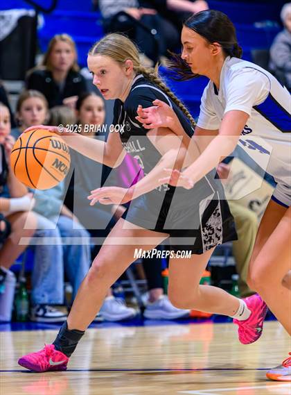 Thumbnail 3 in FR: Marshall @ Cotter photogallery.